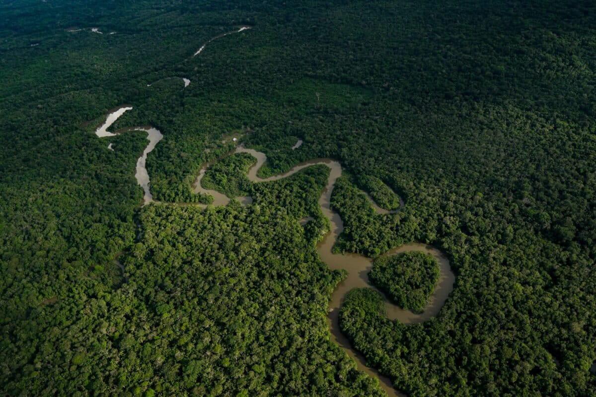 $!Disputa por la Amazonía: 17 grupos armados y redes criminales operan en el 69 % de la región