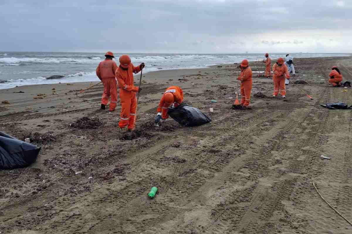 $!Sheinbaum destaca limpieza de playas por derrame en el Golfo; anuncia creación de Observatorio Permanente