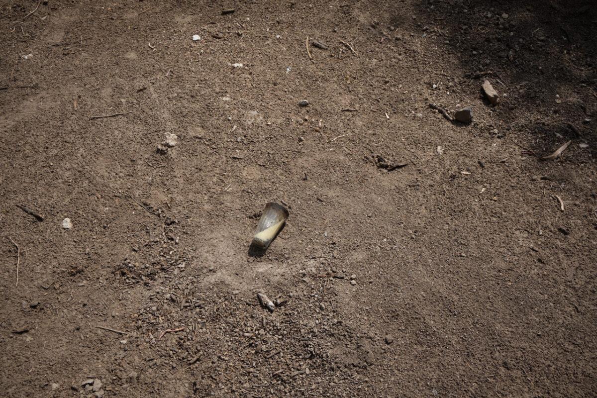 $!Don Memo acostumbra rezar antes de las búsquedas y prende veladoras e inciensos.