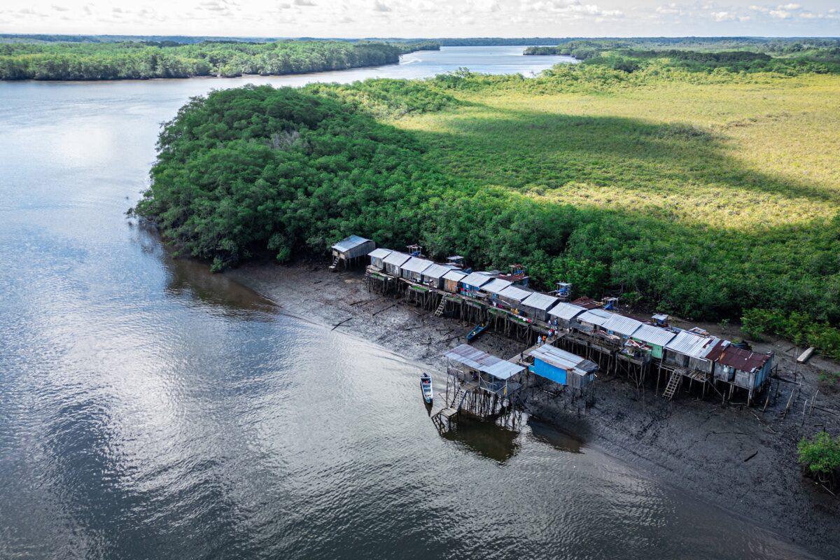 $!Pueblos afrodescendientes protegen bosques con más de 486 millones de toneladas de carbono en cuatro países amazónicos