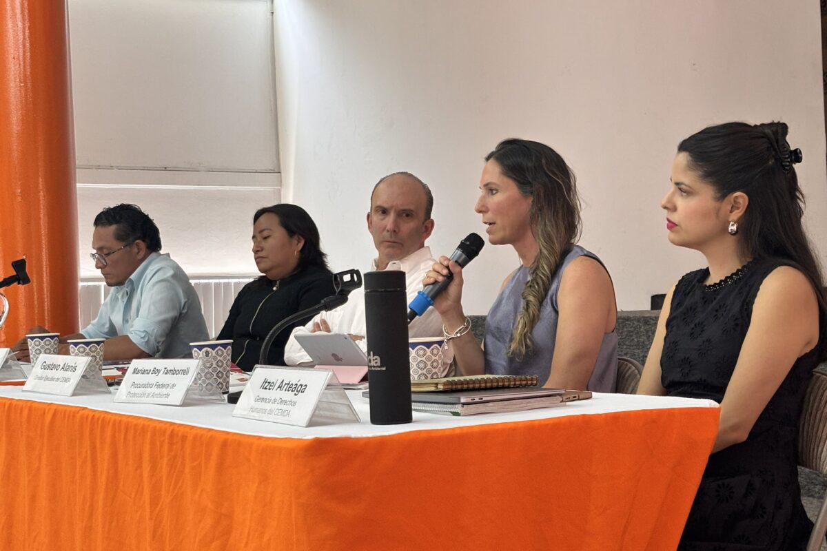 $!La titular de Profepa, Mariana Boy, dijo que la dependencia emitirá un reglamento para accionar a favor de defensores ambientales en riesgo.