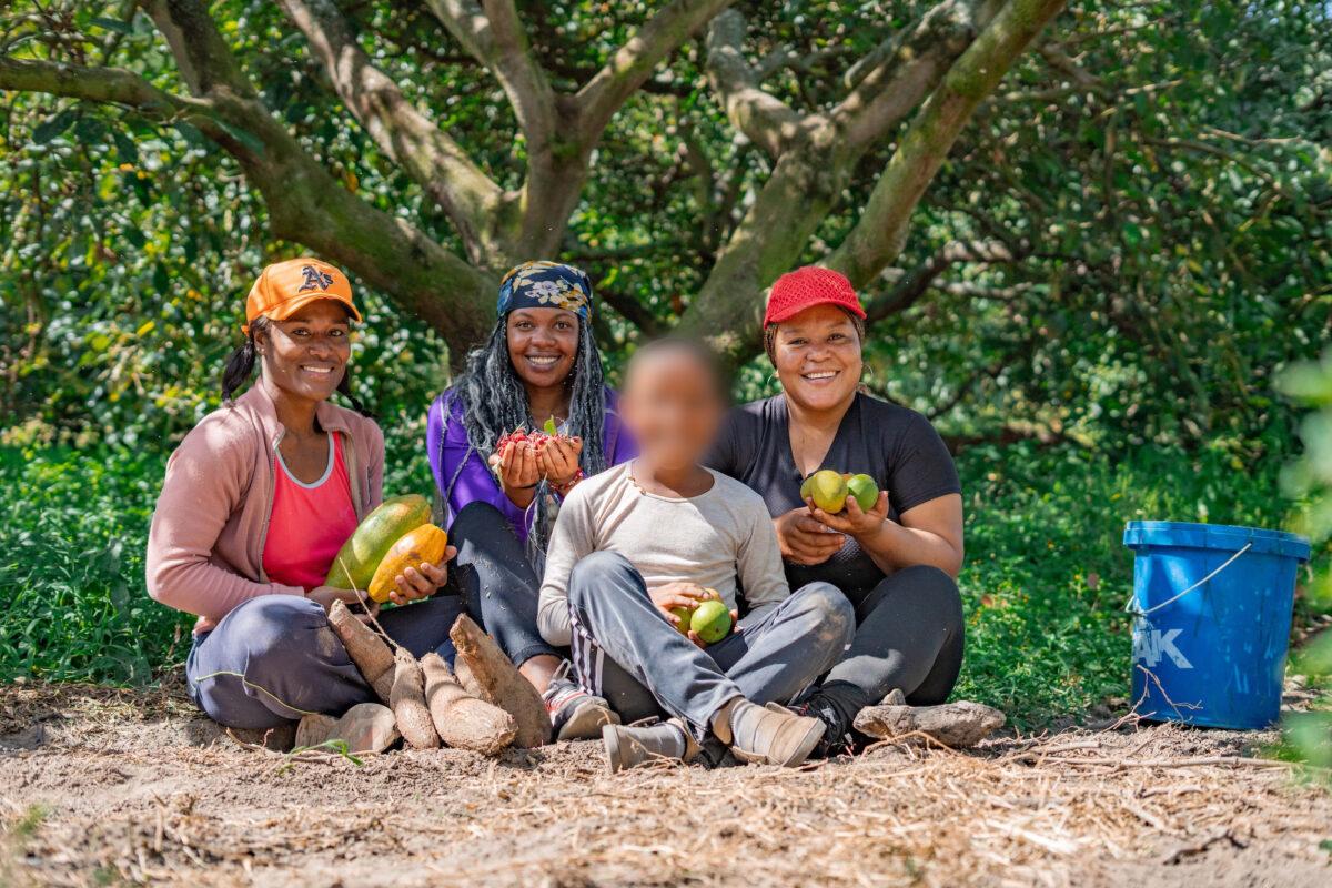 $!Pueblos afrodescendientes protegen bosques con más de 486 millones de toneladas de carbono en cuatro países amazónicos