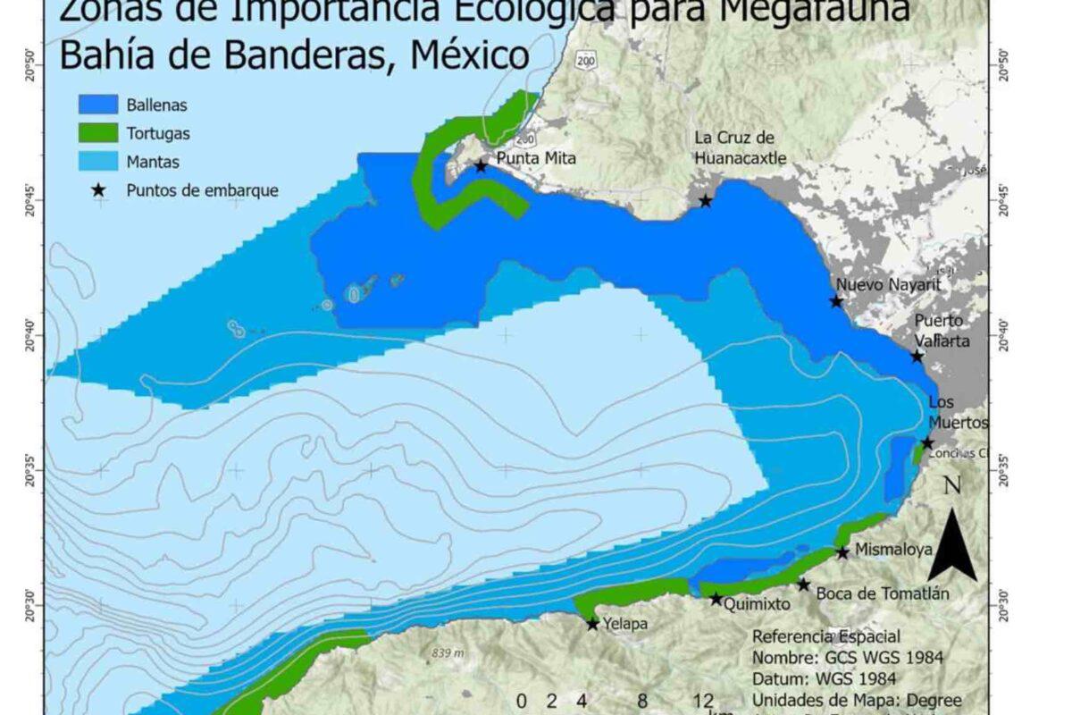 $!Proyecto de escalera náutica amenaza a mantarrayas gigantes, ballenas y tortugas en México
