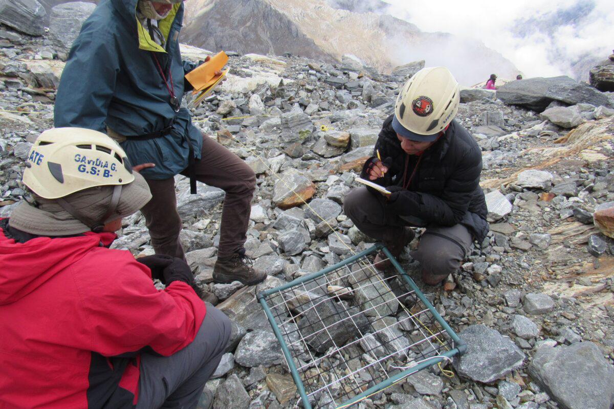 $!Investigadores registran la cobertura de líquenes y musgos que colonizan la roca en la zona de retroceso del glaciar del Pico Humboldt.