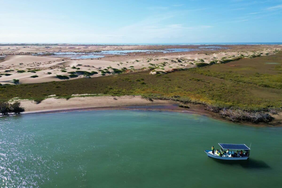 $!Crisis silenciosa en México: 92 ballenas grises muertas en Baja California Sur