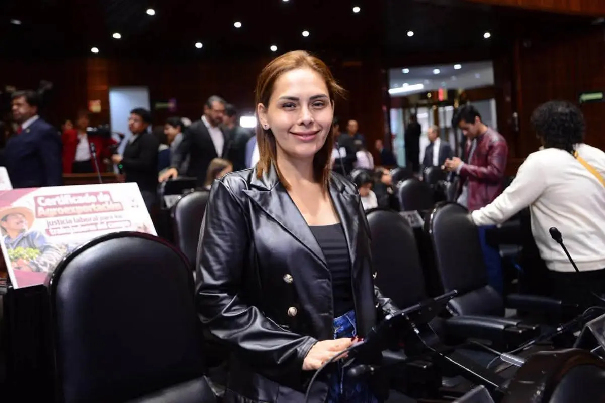 $!La legisladora afirmó que ha enfrentado situaciones de riesgo desde marzo pasado.