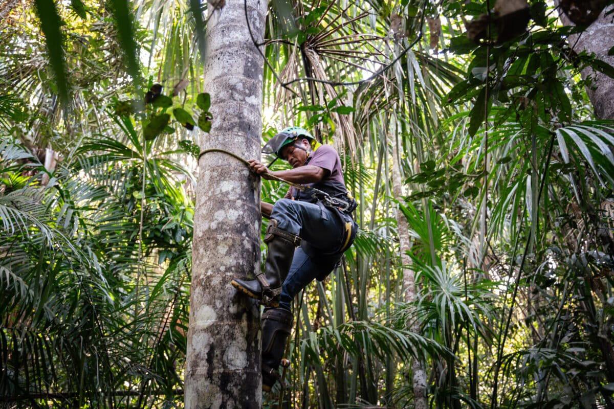 $!Los ecosistemas invisibles en la lucha contra la crisis climática