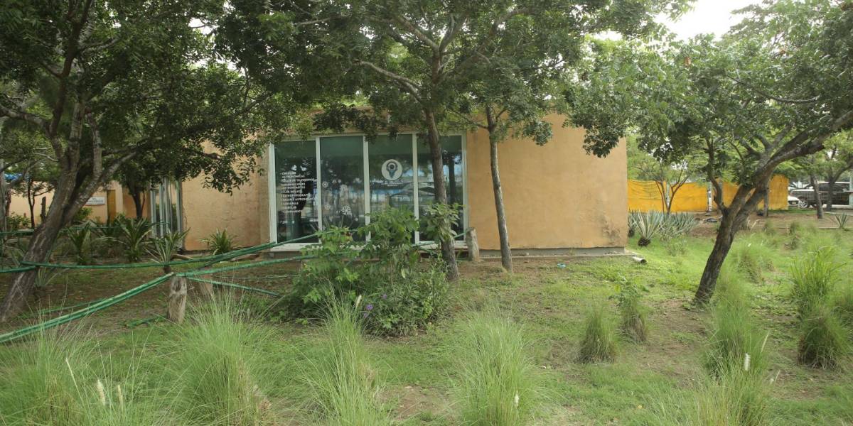 Parque Central de Mazatlán presenta abandono y daños visibles en sus instalaciones