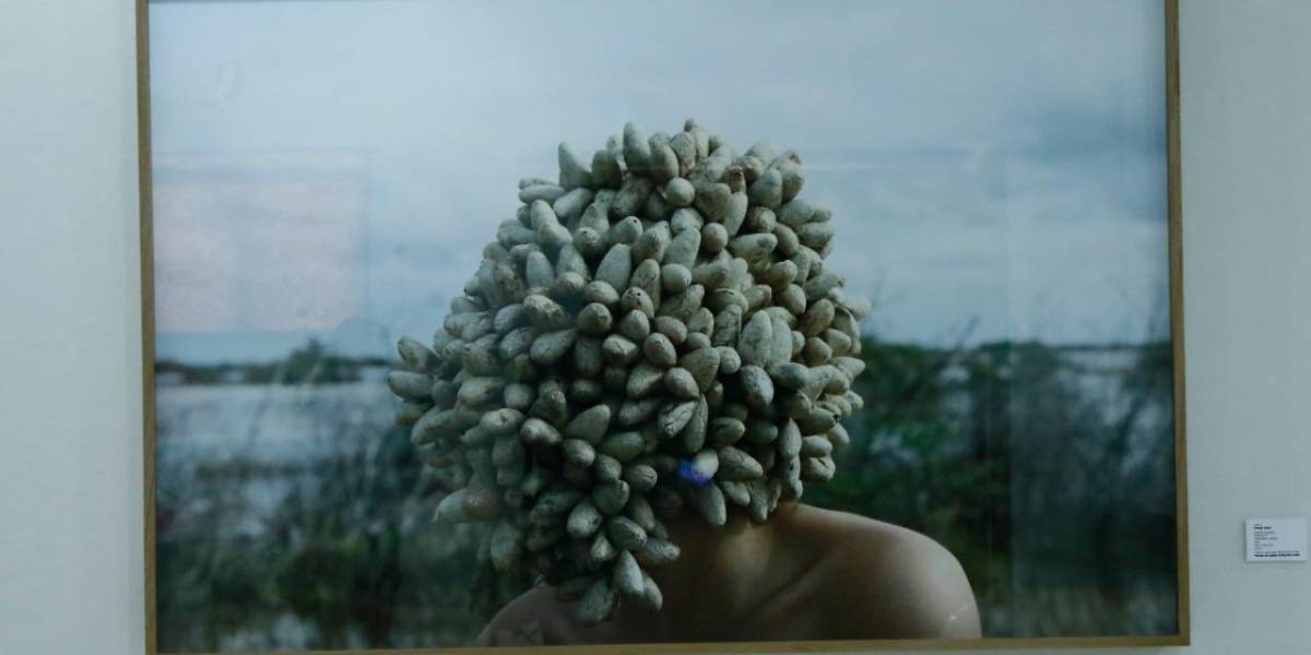 De Leonora Carrington a Fritzia Irizar, subastarán 33 obras en la Casa del Maquío De Leonora Carrington a Fritzia Irizar, subastarán 33 obras en la Casa del Maquío