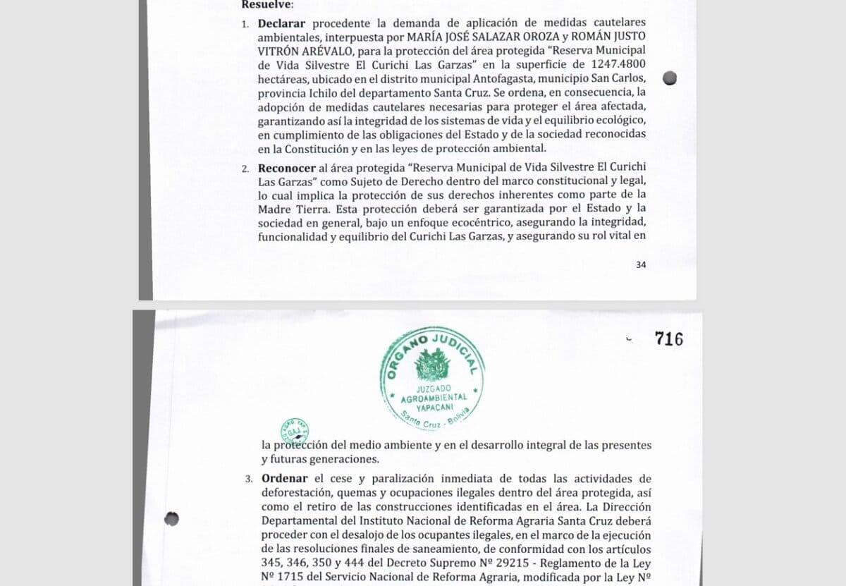 $!El gran retorno de las cigüeñas a un área protegida de Bolivia amenazada por invasores e incendios