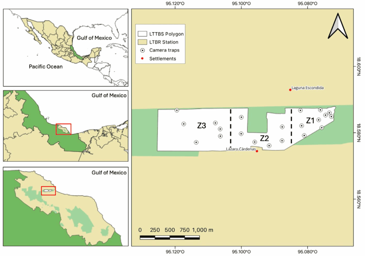$!Cámaras trampa en copas de árboles revelan presencia de mamíferos en una reserva amenazada de México