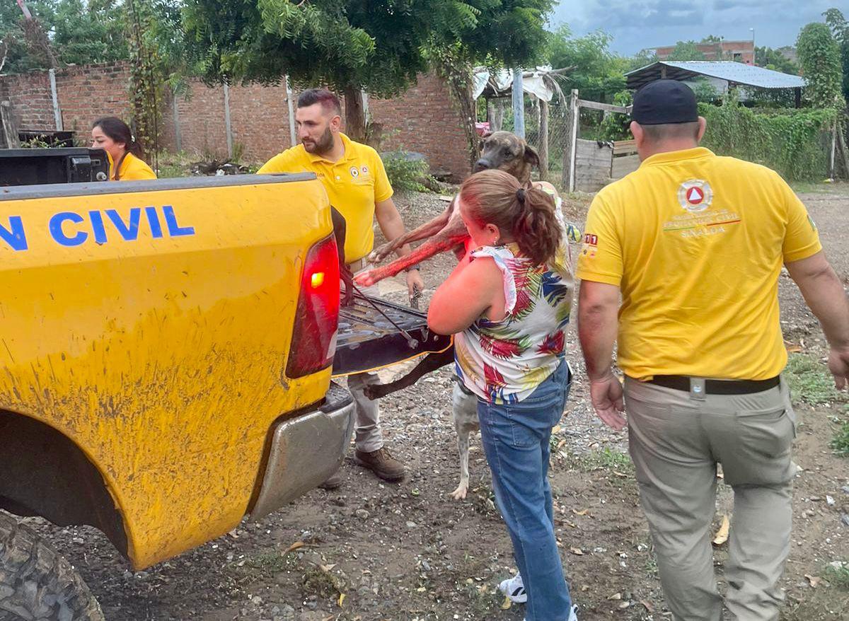$!Habilitan refugios temporales en Mazatlán por ‘Norma’; llegan cuatro vecinos y tres mascotas