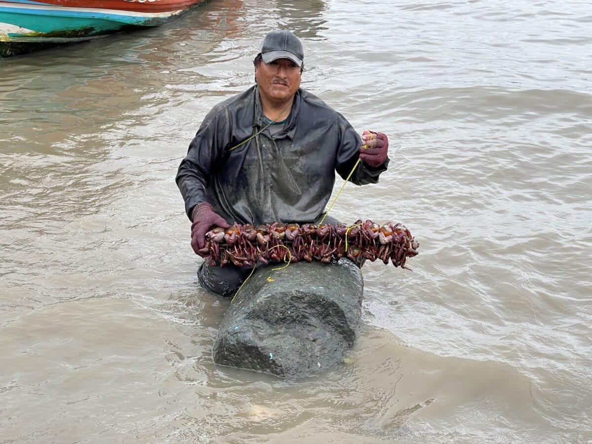 $!Los ecosistemas invisibles en la lucha contra la crisis climática