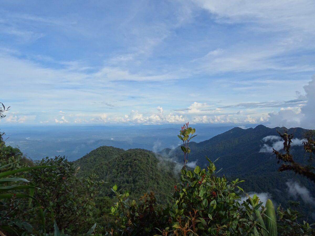 $!En Ecuador, la minería ilegal destruye un afluente del Amazonas y amenaza a una ciudad