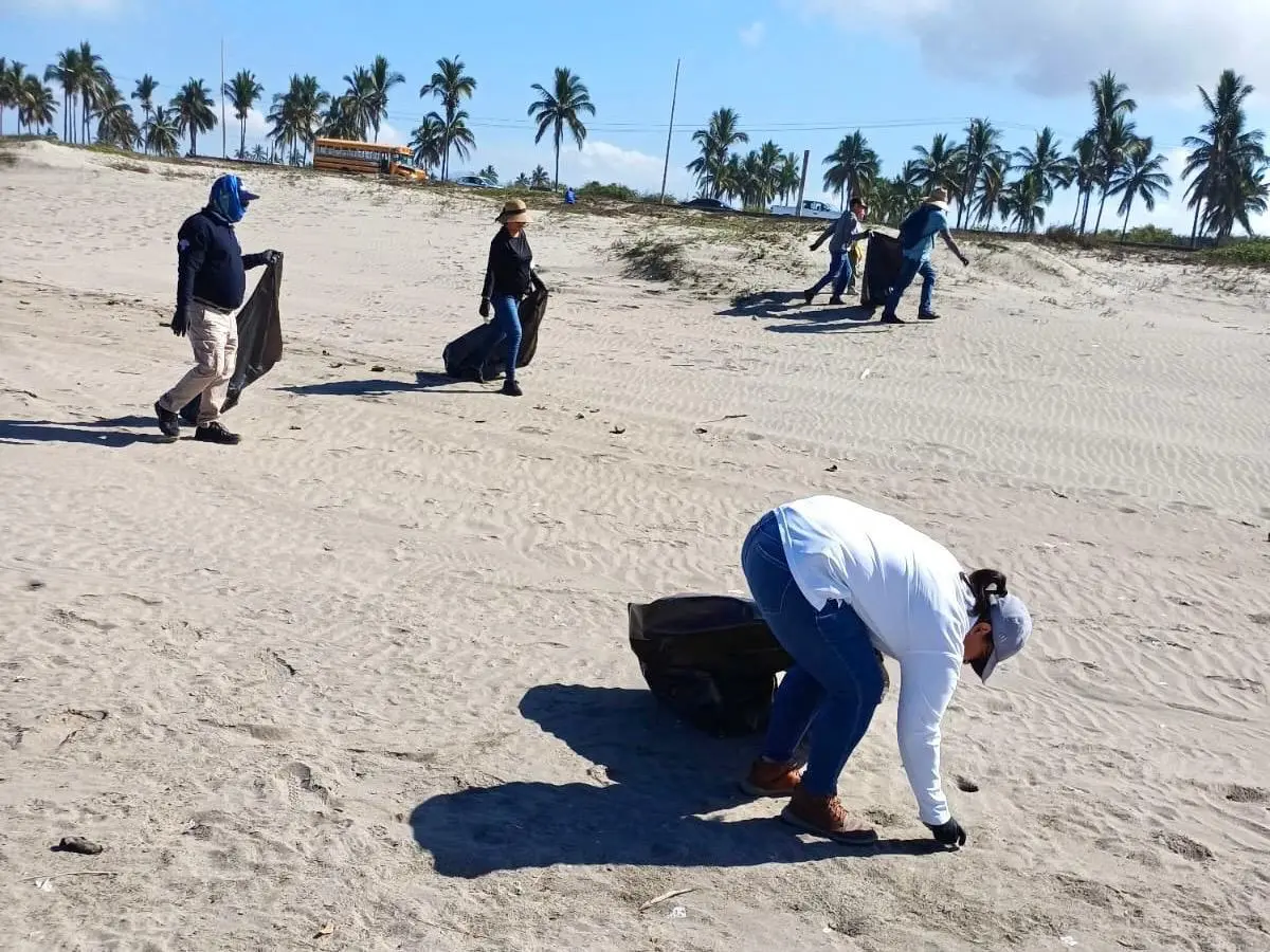 $!Realizan jornada de limpieza en la Playa El Caimanero, en Rosario