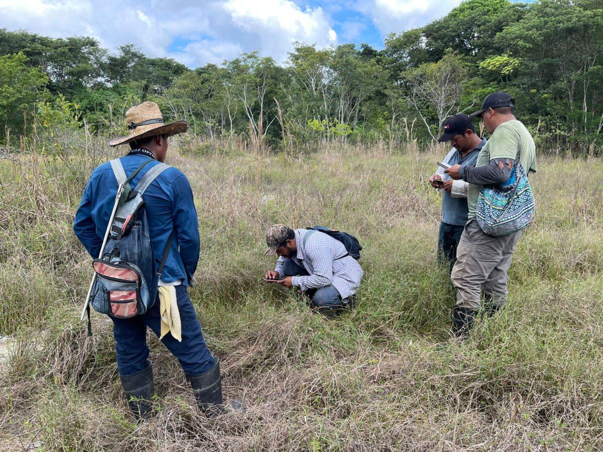 $!Más de 220 monitores comunitarios de 60 comunidades mestizas e indígenas trabajan en diversos proyectos de monitoreo y conservación en el sur del país.