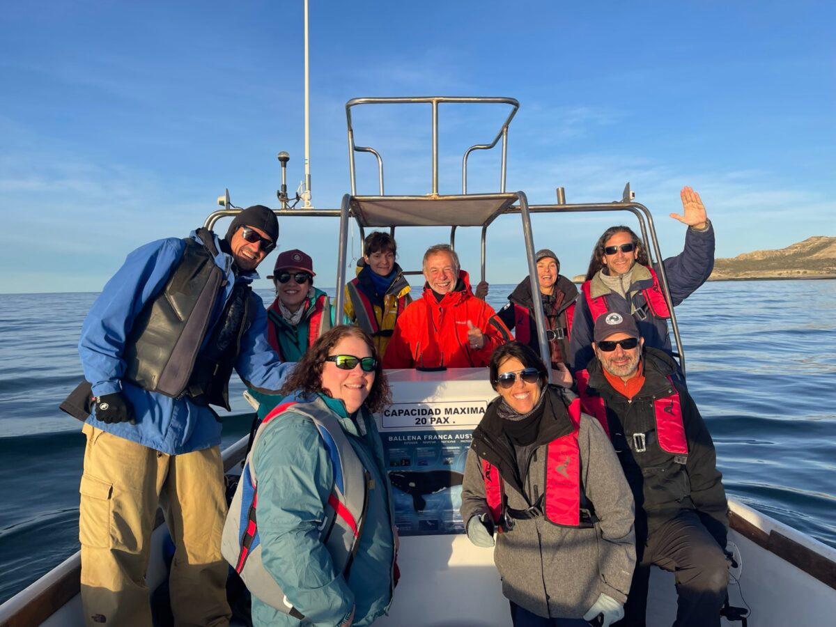 $!Siguiendo ballenas francas: cómo funciona el proyecto que rastrea sus rutas migratorias desde el espacio exterior