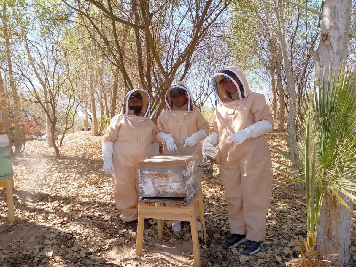 $!Revivir al Río Colorado: utilizan abejas y agua para restaurar el delta que unía a Estados Unidos con México