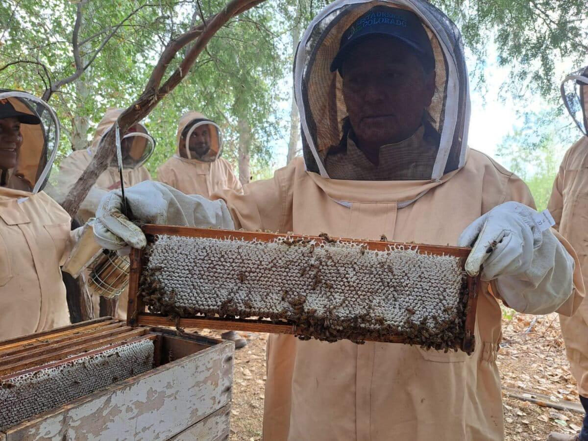 $!Revivir al Río Colorado: utilizan abejas y agua para restaurar el delta que unía a Estados Unidos con México