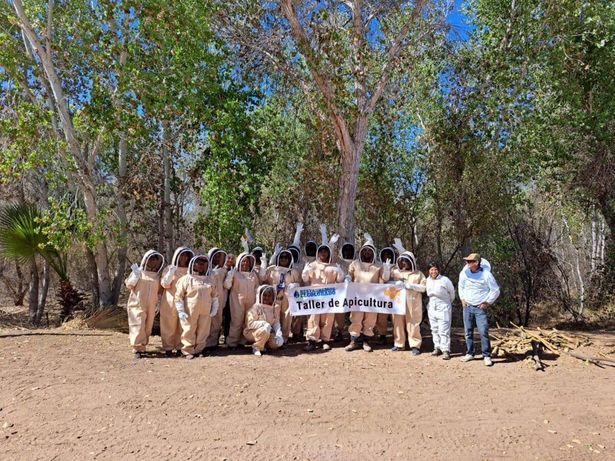 $!Revivir al Río Colorado: utilizan abejas y agua para restaurar el delta que unía a Estados Unidos con México