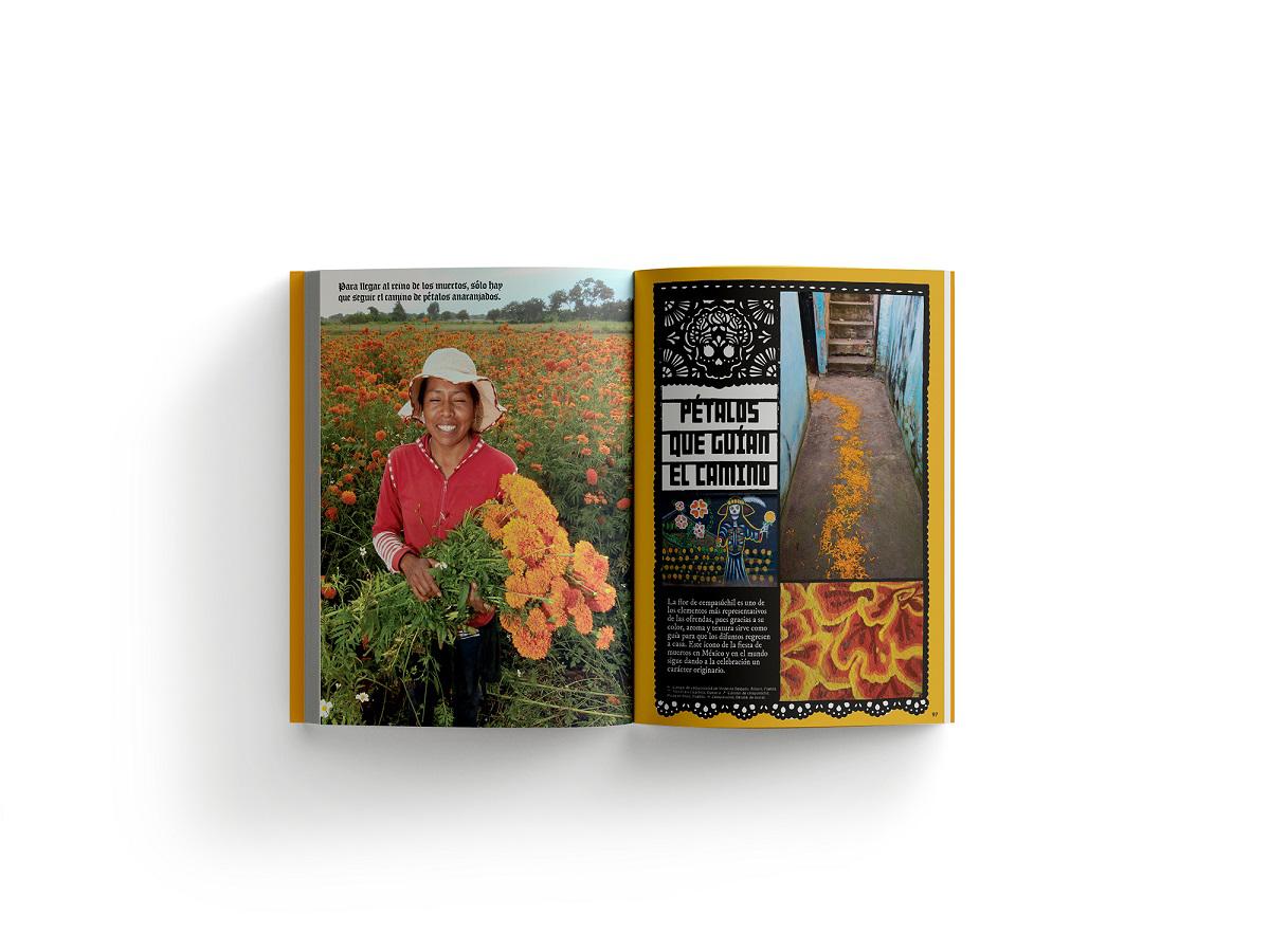 $!Disponible en librerías y plataformas digitales. También está disponible en inglés, publicada por Rizzoli.