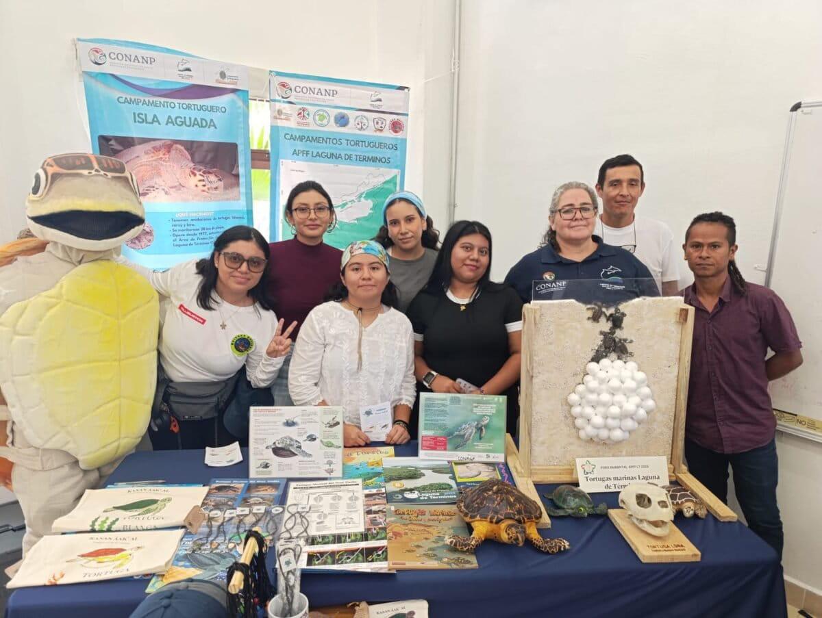 $!Rastreando el nacimiento de la tortuga verde: el aumento de la temperatura en el mar impacta en la anidación de la especie en las costas de México