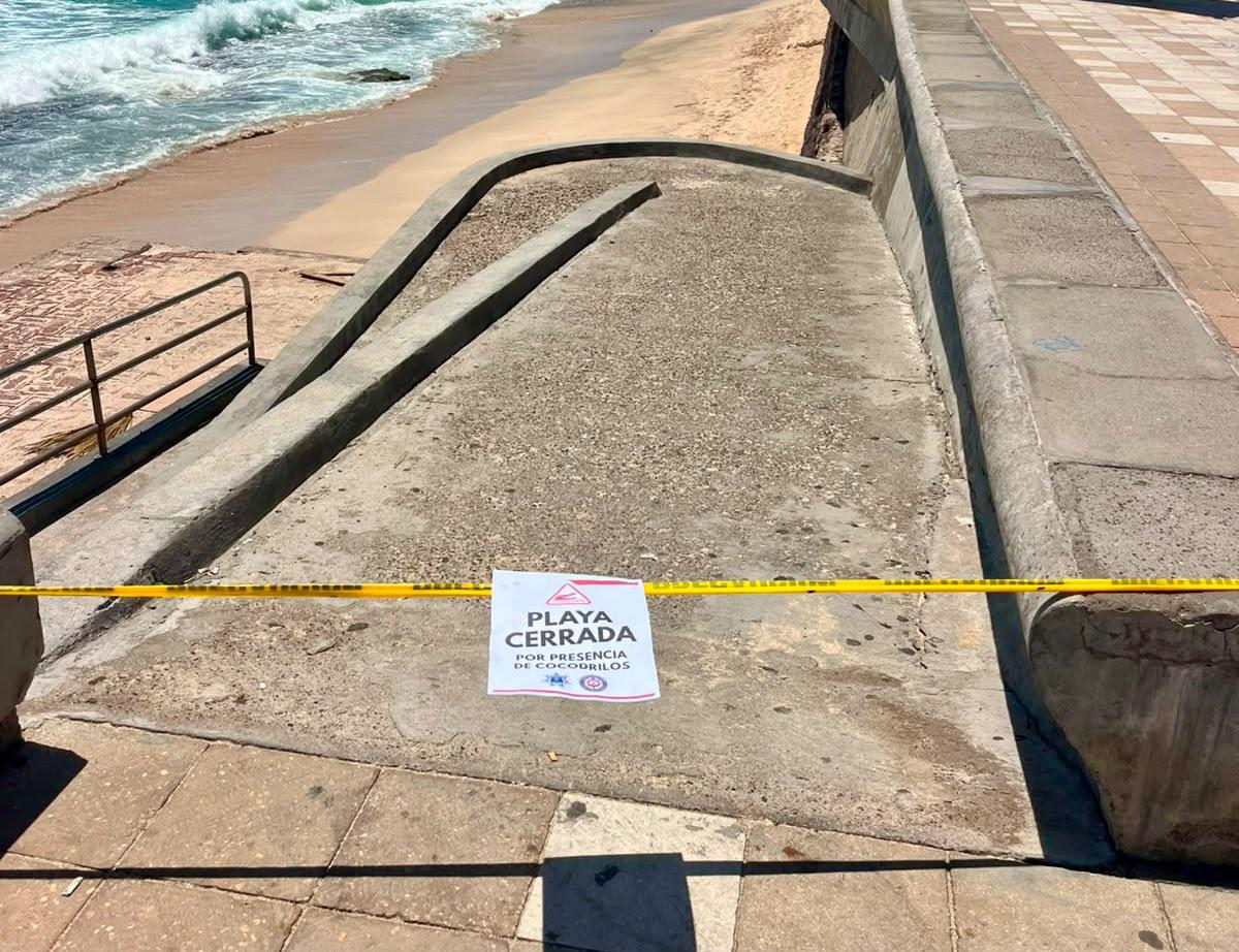 $!Permanece cocodrilo en playas de Mazatlán, hay alerta; restringen acceso de Valentino al Monumento al Pescador