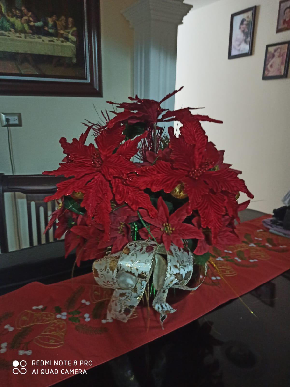 $!La decoración navideña es para recibirnos con amor en nuestro hogar: Grisel Castaños