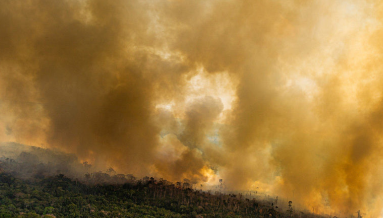 Daños causados al planeta son irreversibles y la humanidad es la responsable