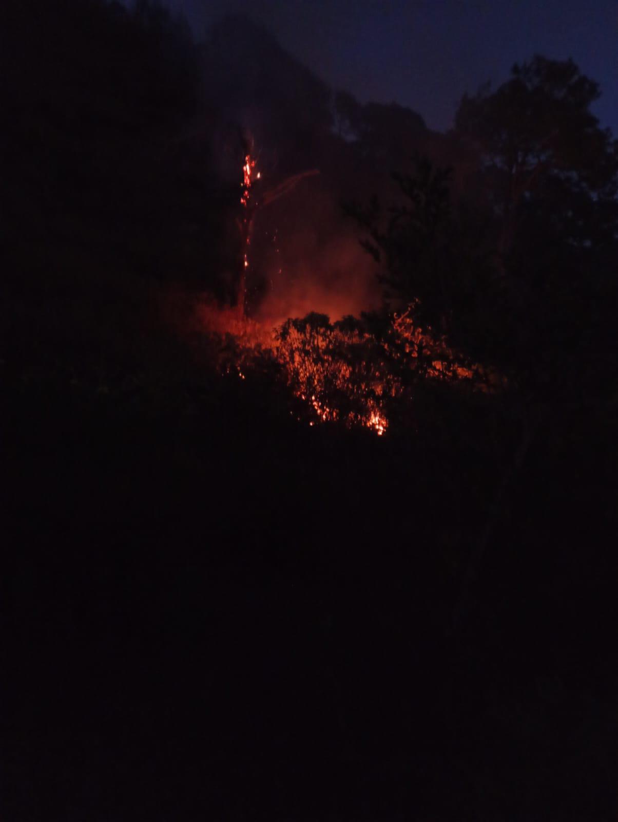 $!Reportan que sigue prendido el fuego en el cerro El Águila, en Chirimoyos y Potrerillos, en la sierra de Concordia