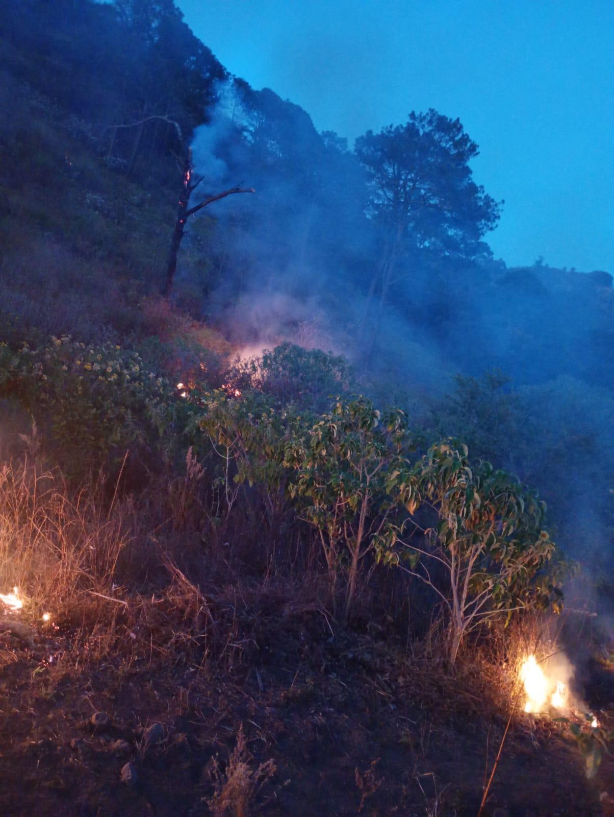 $!Reportan que sigue prendido el fuego en el cerro El Águila, en Chirimoyos y Potrerillos, en la sierra de Concordia