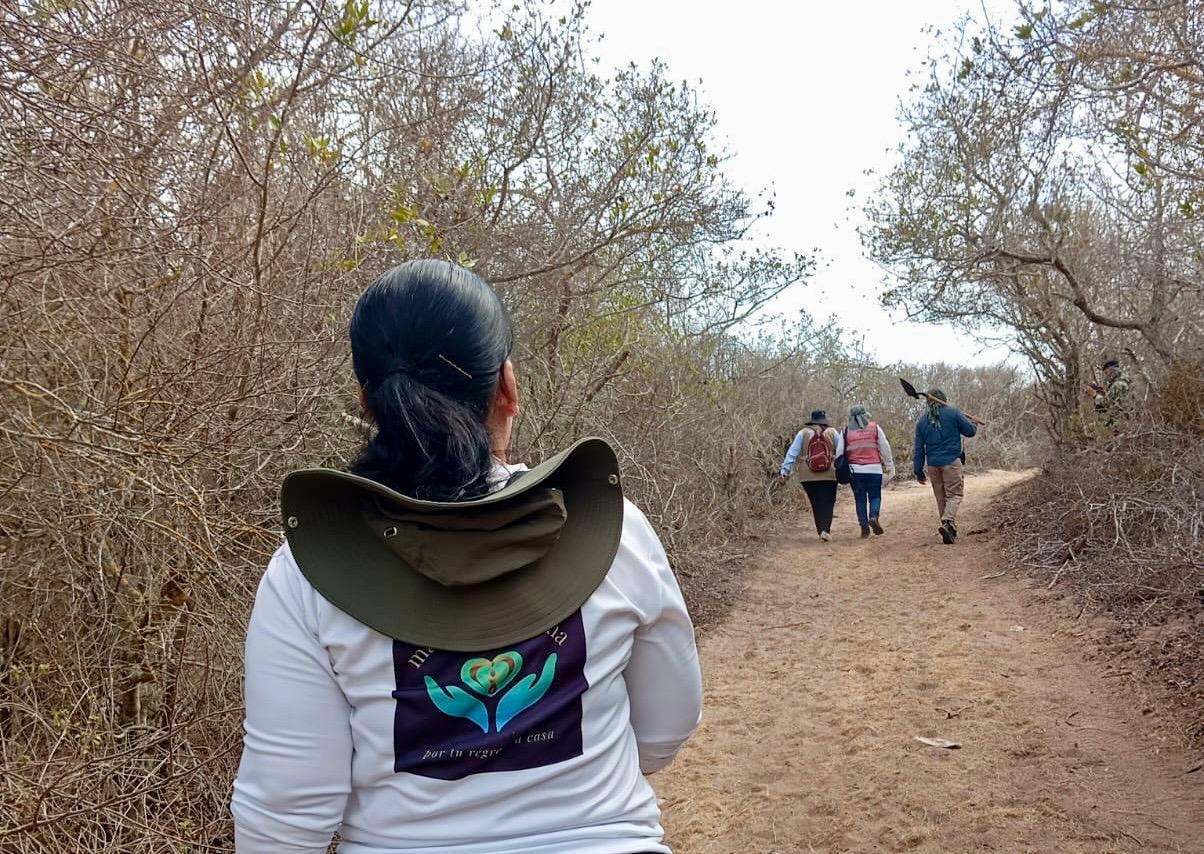 $!Localizan posibles fosas clandestinas en Elota, y restos óseos en Mazatlán durante jornadas de búsqueda