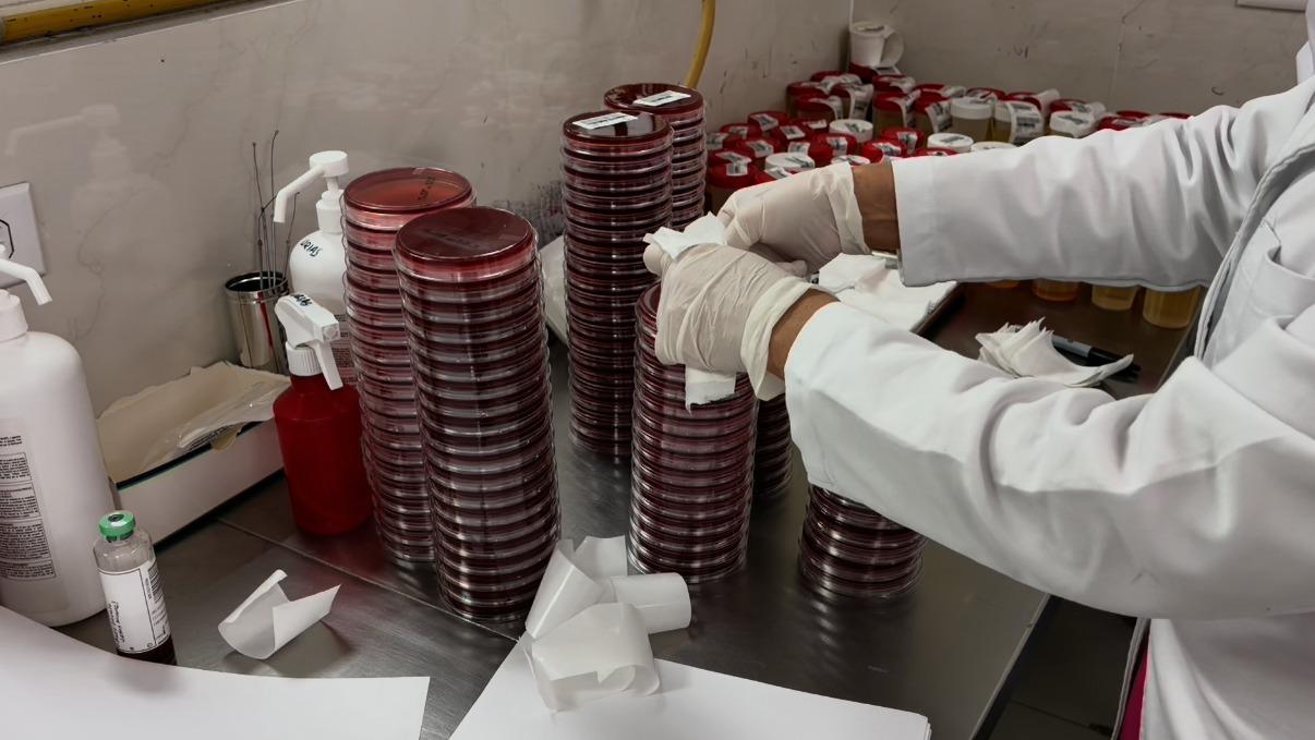 $!Procesa laboratorio del Hospital Regional No. 1 del IMSS en Culiacán hasta 14 mil estudios diarios