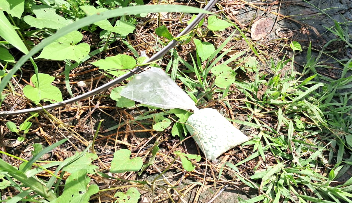 $!Guardia Nacional y Semar aseguran fentanilo, armas y explosivos en operativos en Sinaloa