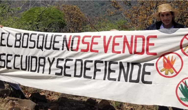 México: como un roble, así es la convicción de los guardianes del bosque de Juanacatlán