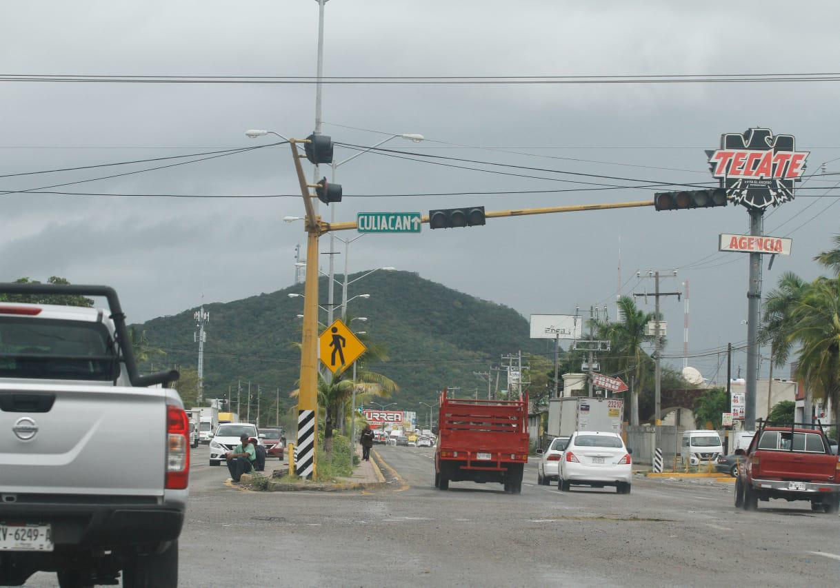 $!Árboles y palmeras caen en Mazatlán por Huracán Pamela; los remueven de las vialidades