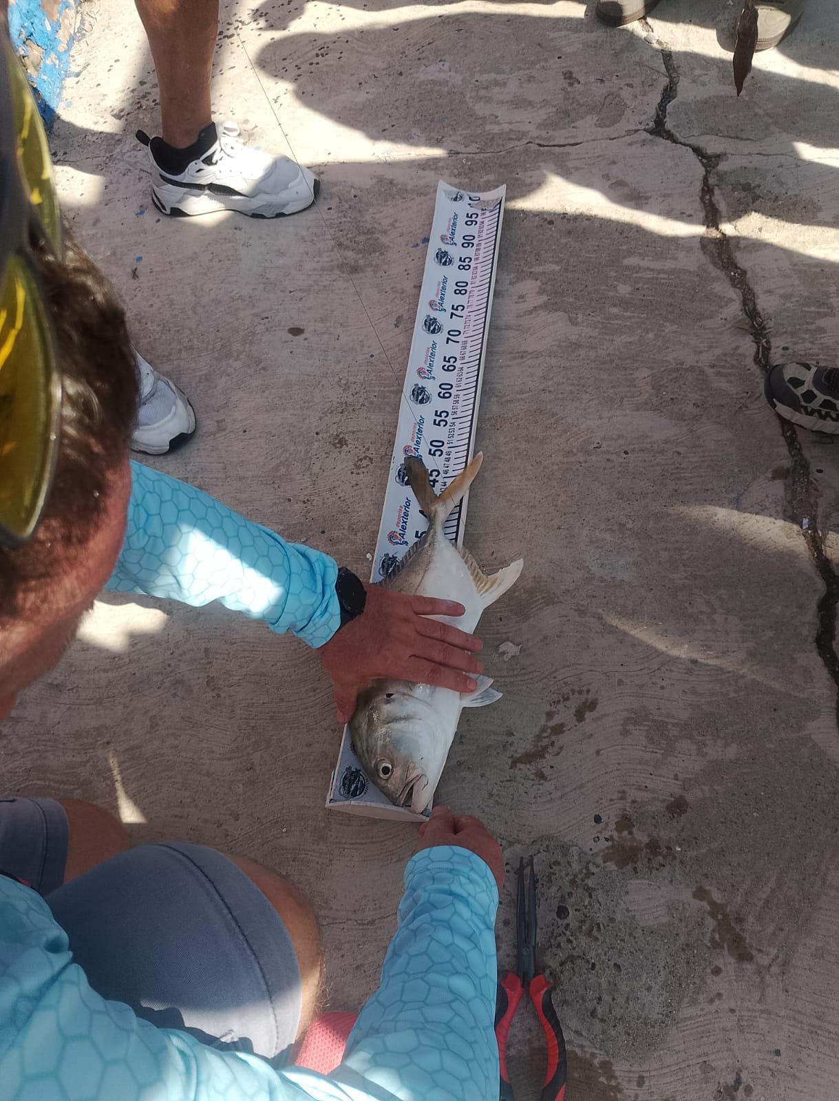 $!Se divierten más de 50 pequeños con el Primer Torneo de Pesca Infantil