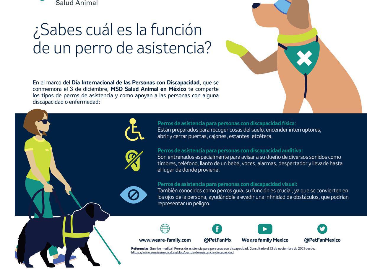 $!¿Sabes cuáles son las tareas de los perros de asistencia?