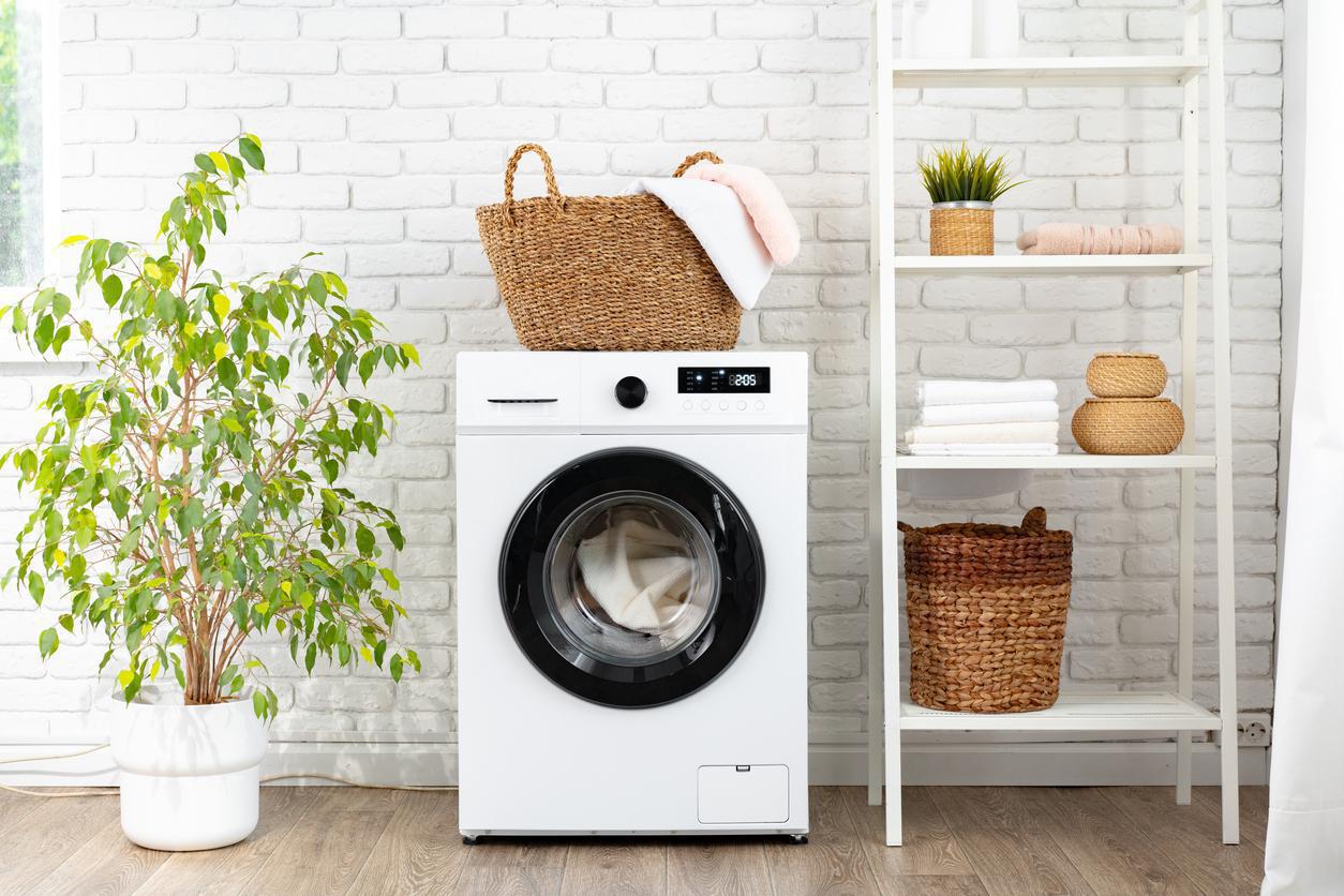 $!Buen Fin lavadoras: ¿cómo elegir la opción ideal para tu hogar?