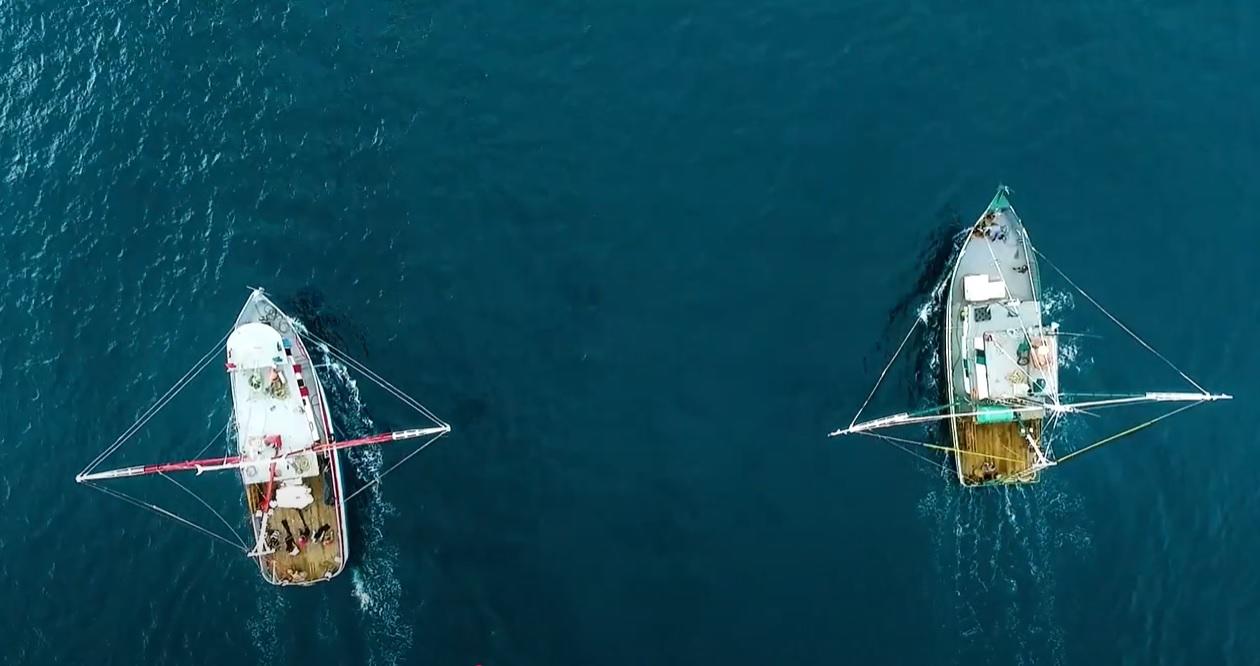 $!Este domingo 6 de abril inicia la veda del camarón en el Océano Pacífico