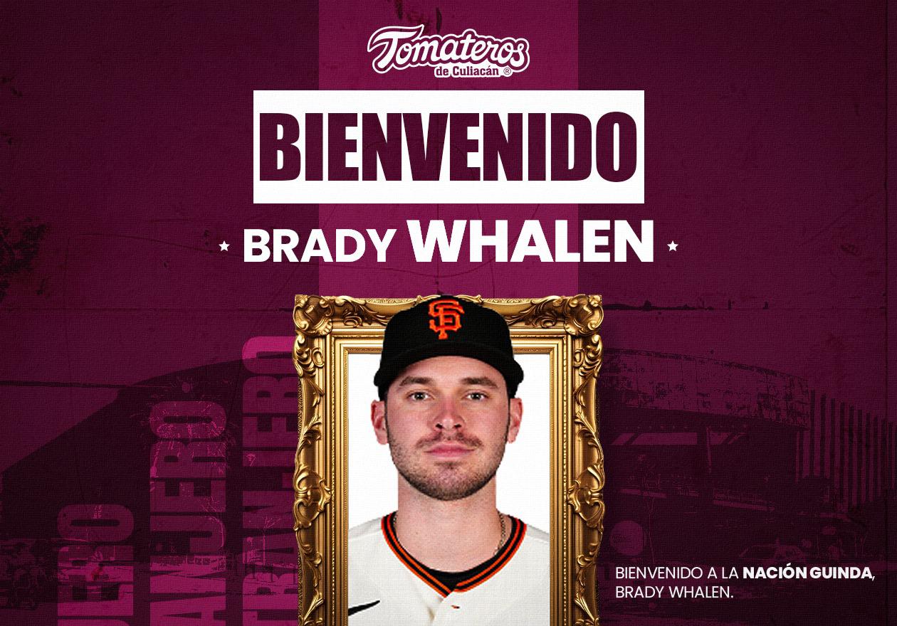 $!Tomateros fortalece su rotación y su line up para la próxima temporada de la LMP