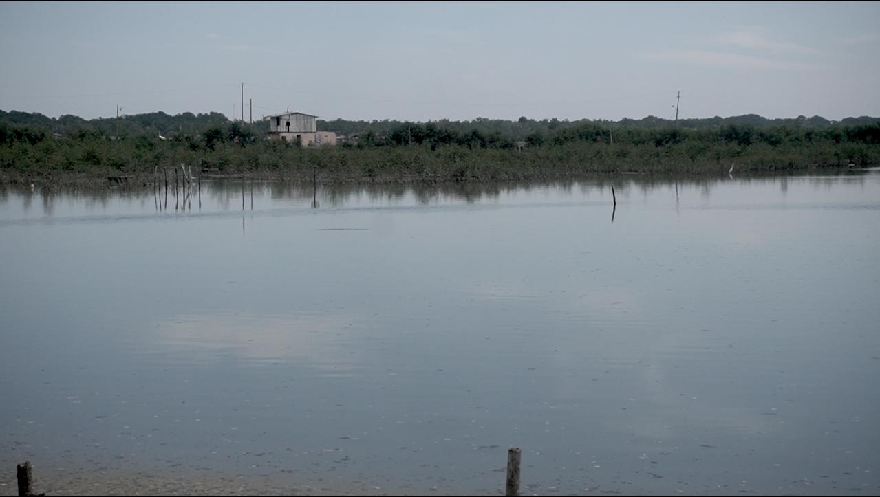 $!La explotación de los recursos marinos en Ecuador es un problema que se puede percibir sobre todo en la escasez de especies clave.