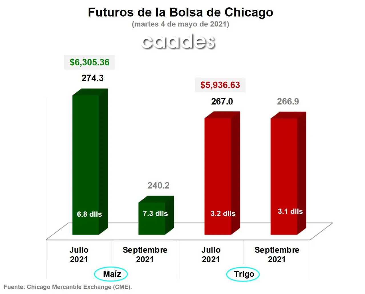 Precio del maíz rebasa los 6 mil 300 por tonelada