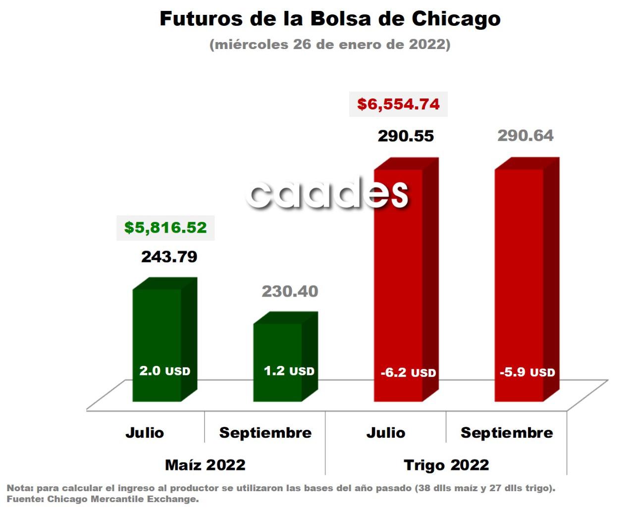 $!Precio de maíz alcanza punto máximo en 6 meses en la Bolsa, reporta la Caades