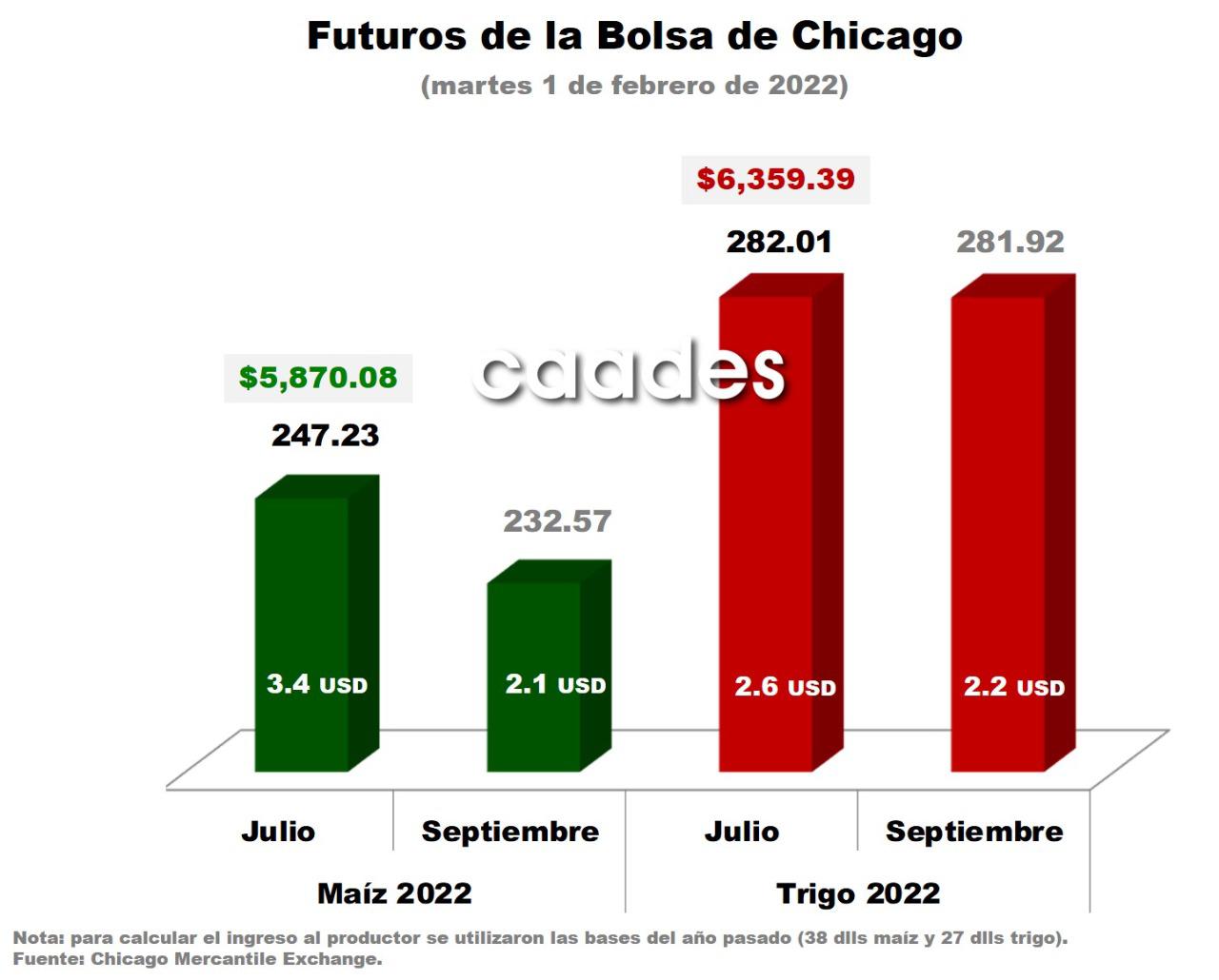 $!Indefinición de la base retrasa contratos de compra-venta de maíz, señala la Caades