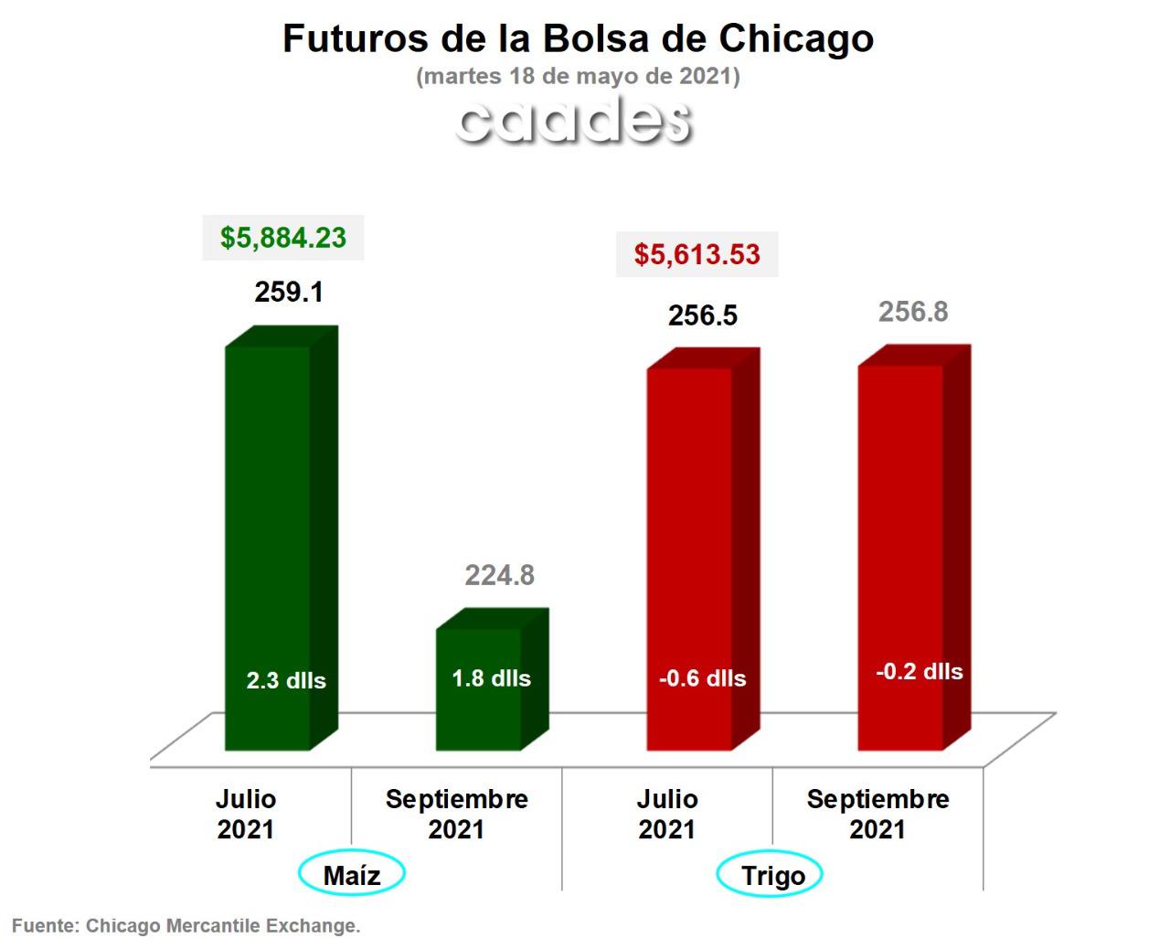 $!Precio del maíz gana 2.3 dólares en la Bolsa de Chicago