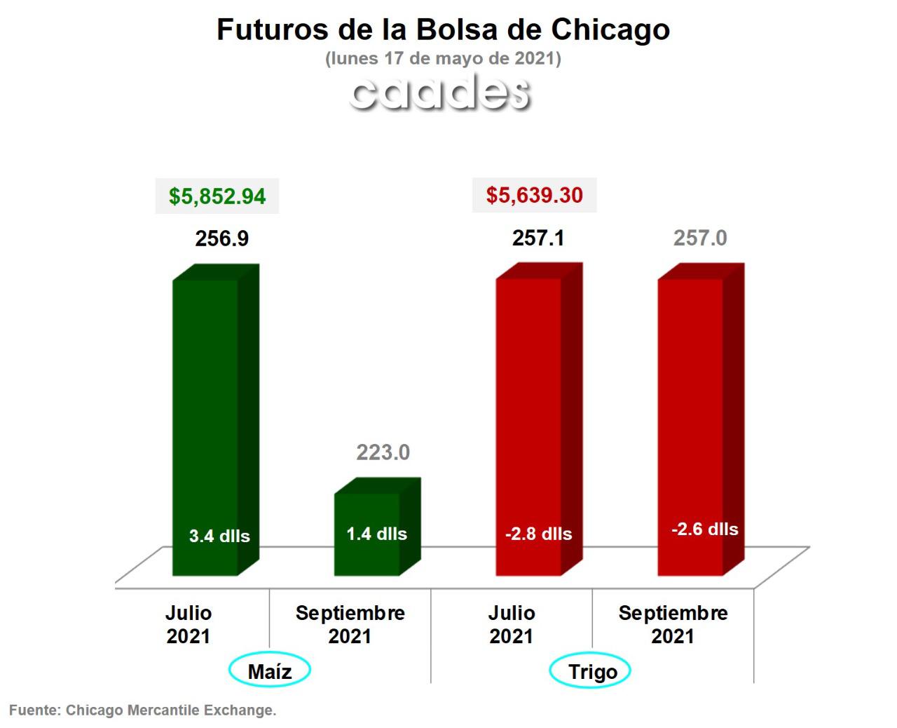 $!Se estabiliza mercado del maíz y frena caída de precio