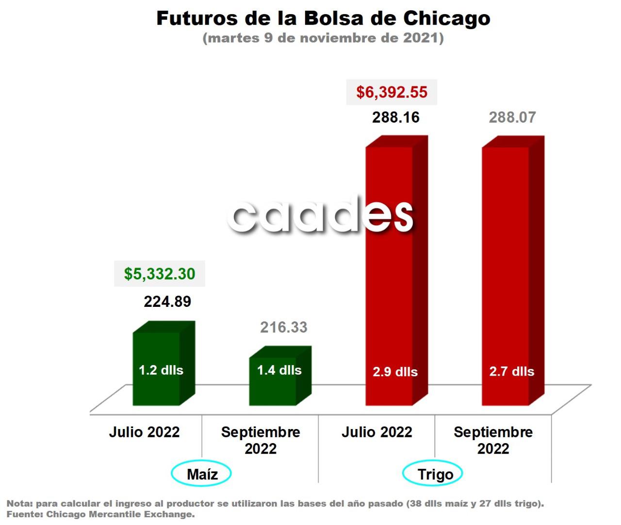 $!Precio del maíz reacciona al alza tras reporte de oferta y demanda del USDA
