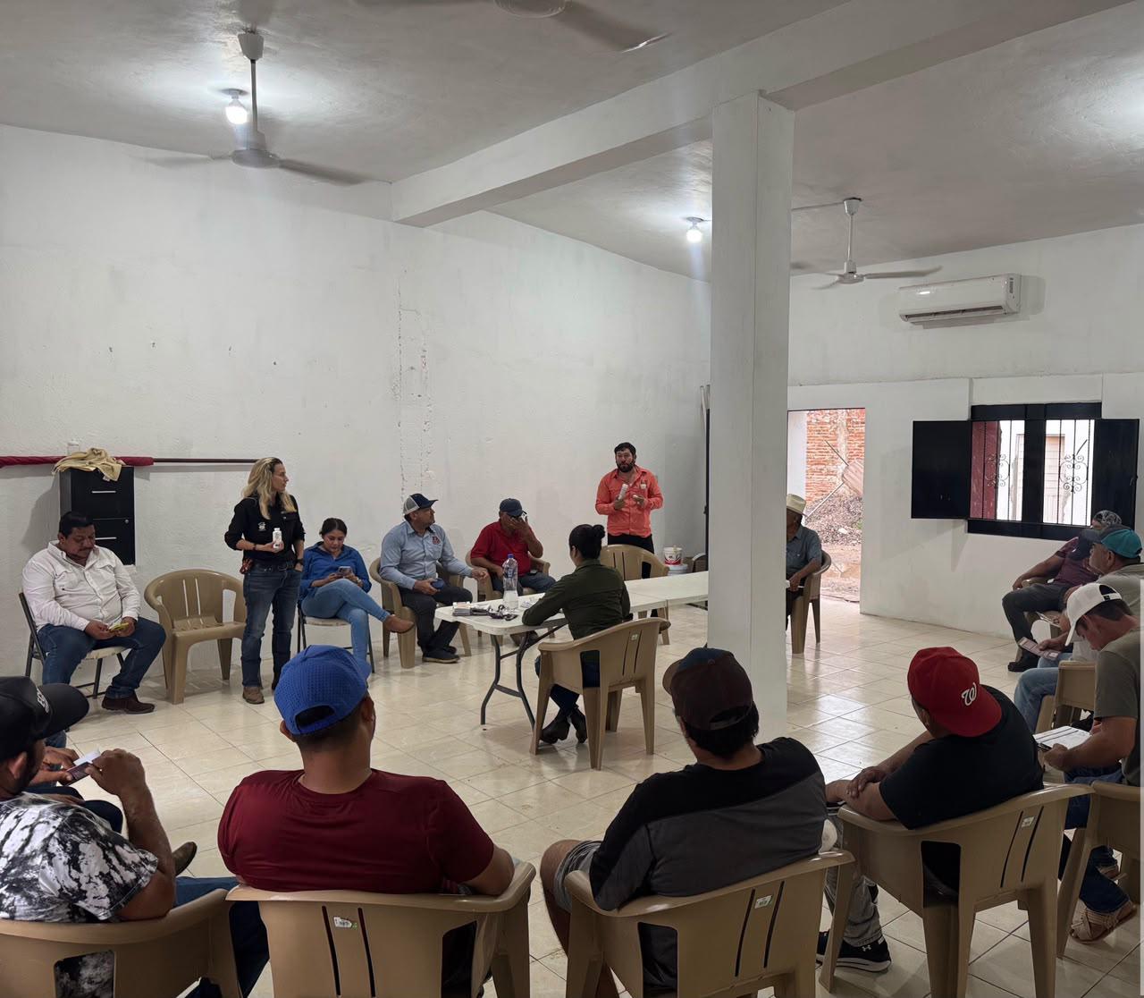 $!Impulsan en Rosario acciones preventivas tras detectar primer caso de gusano barrenador