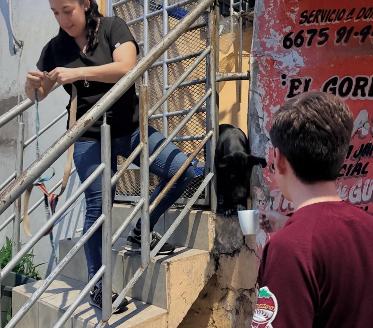 $!Rescatan a siete perros y encuentran restos de canes en bolsas negras en Culiacán